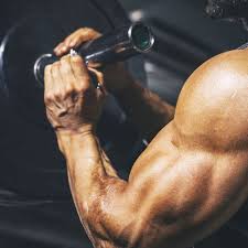 How any guy (even the most average) can now use the simple workout secret ofcellular chain reactions to hack stubborn genetics and build a hollywood physique, at home, in just 20 minutes per dayfor the first time. Try This Big Arms Workout Program For Strength And Size Gains