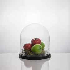 Dome Bell Jar Glass Terrarium Cys Excel Size 11 H X 10 W X 10 D