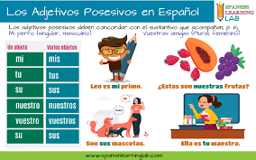 los adjetivos posesivos en español