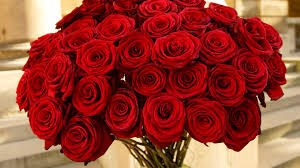 bouquet of red roses wallpapers13 com