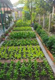 Garden Layout Vegetable Garden Design