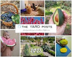 Yard Posts Food Gardening Calendar 2023