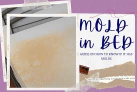 how to tell if your bed has mold