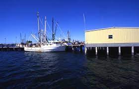 florida memory shrimp boats docked in