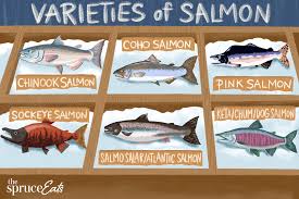 of salmon