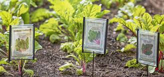 Make Your Own Garden Markers