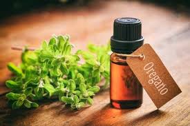 of oregano oil for skin and hair