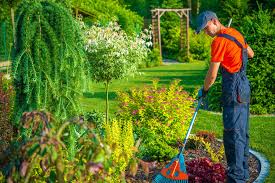 A garden won't just take care of itself, but with our range of garden care, you'll be able to find everything you need for lawn, plant and animal care, watering your garden, cleaning and taking care. Lawn Garden Care The New Leaf Landscaping