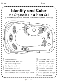 Animal cell coloring the answer key to the cell coloring worksheet is available at teachers pay teachers.payments help support animal cell coloring page from biology category. Plant Cell Worksheet Free Printable