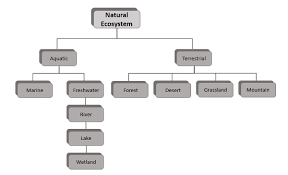 Classification Of Ecosystem Tutorialspoint
