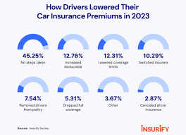 New Car Insurance Policy 2023 gambar png