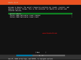 ubuntu 18 04 lts server bionic beaver