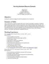 Professional Summary For Resume No Work Experience Excellent Sample