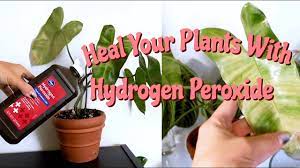 benefits of hydrogen peroxide on