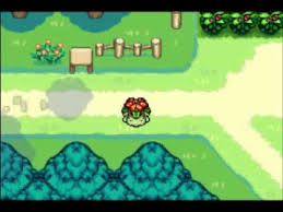 Pokemon Mystery Dungeon Red Rescue Team How To Evolve A Pokemon