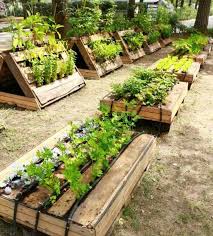 Creative Outdoor Pallet Gardening