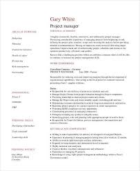 Presenting you the amazing free resume templates professional that is available in multiple file formats like adobe illustrator, word, pdf. 20 Cv Examples In Pdf Free Premium Templates