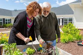 gardening for seniors starters guide