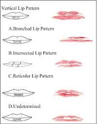 diffe types of lip pattern
