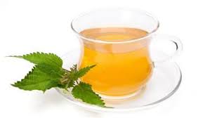 Image result for nettle tea benefits