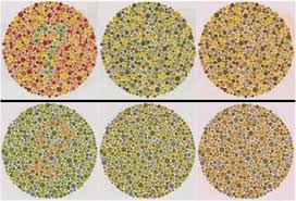 take the ishihara test color sighted