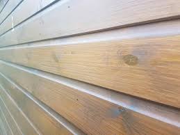 shed varnish which is best our guide