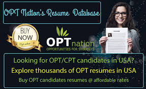 Best Database Of Opt Resumes In Usa Resume Student Resume