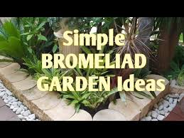 simple bromeliad garden ideas