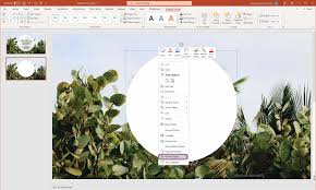 picture transpa in powerpoint 2022