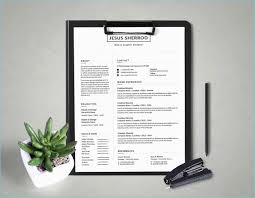 Board Of Directors Presentation Template And Beautiful 26 New Email