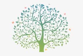 Branch Clipart Family Tree - Family Tree Clipart Png PNG Image |  Transparent PNG Free Download on SeekPNG