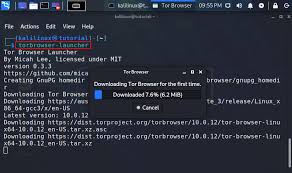 to install tor browser on kali linux