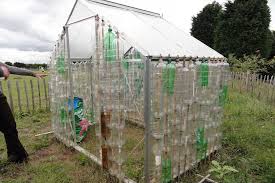 Building A Bottle Greenhouse Rhs