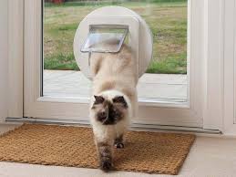 Microchip And Magnetic Cat Flap