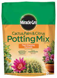 cactus potting soil mix in the soil