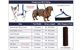Gingerlead Dog Support Rehabilitation Sling Harness Padded Lifting Aid Integrated Leash For Comfort Control Assist Old Or Disabled Pets Safely