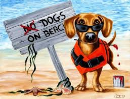 Παραλία σκύλων;