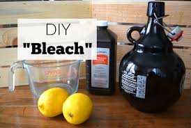 DIY Bleach The Stay at Home Mom Survival Guide