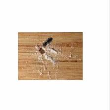 wood borer pest control services at rs