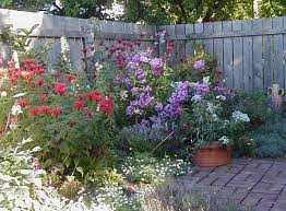 Flower Garden Design Basics