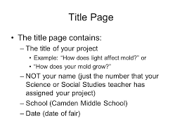 Research Paper Outline Template  Essay Outline Example Free Word     Pinterest informative essay graphic organizer high school x 