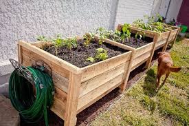 Pallets To Planters Vegetable Garden
