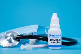 washu s nasal covid 19 vaccine approved