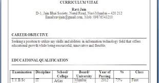 Bsc It Resume Format For Freshers