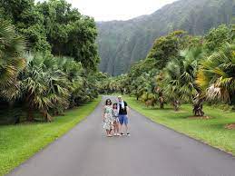 top 50 things to do in oahu with kids