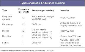 aerobic endurance training sport