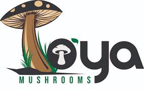 Djondjon (Mushrooms) by To'ya Mushrooms | Haispot
