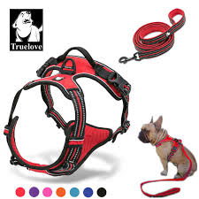 Truelove Pet Dog Harness Leash For Pet Set Large Small