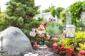 Foto De Garden Dwarf In Home Garden
