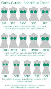 Particular Breast And Bra Size Chart 2019